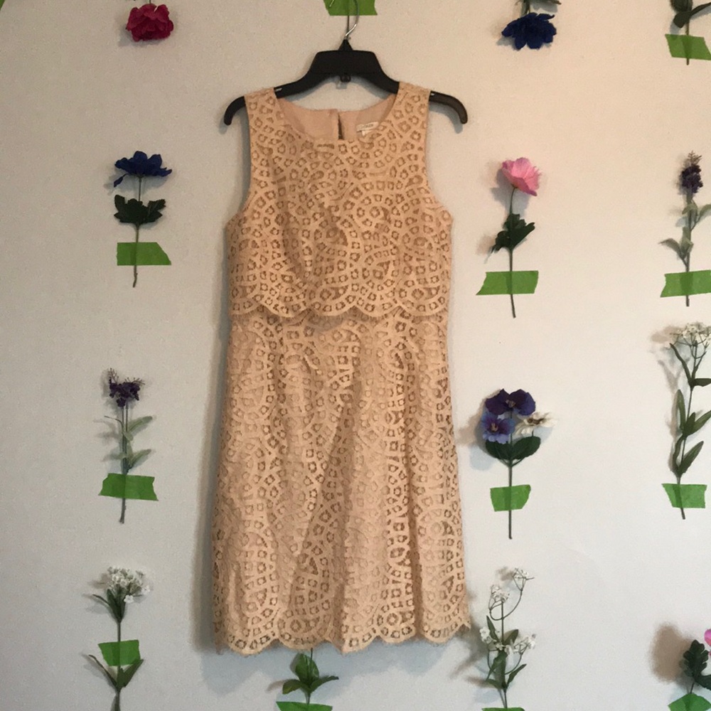 Lace Shift Dress